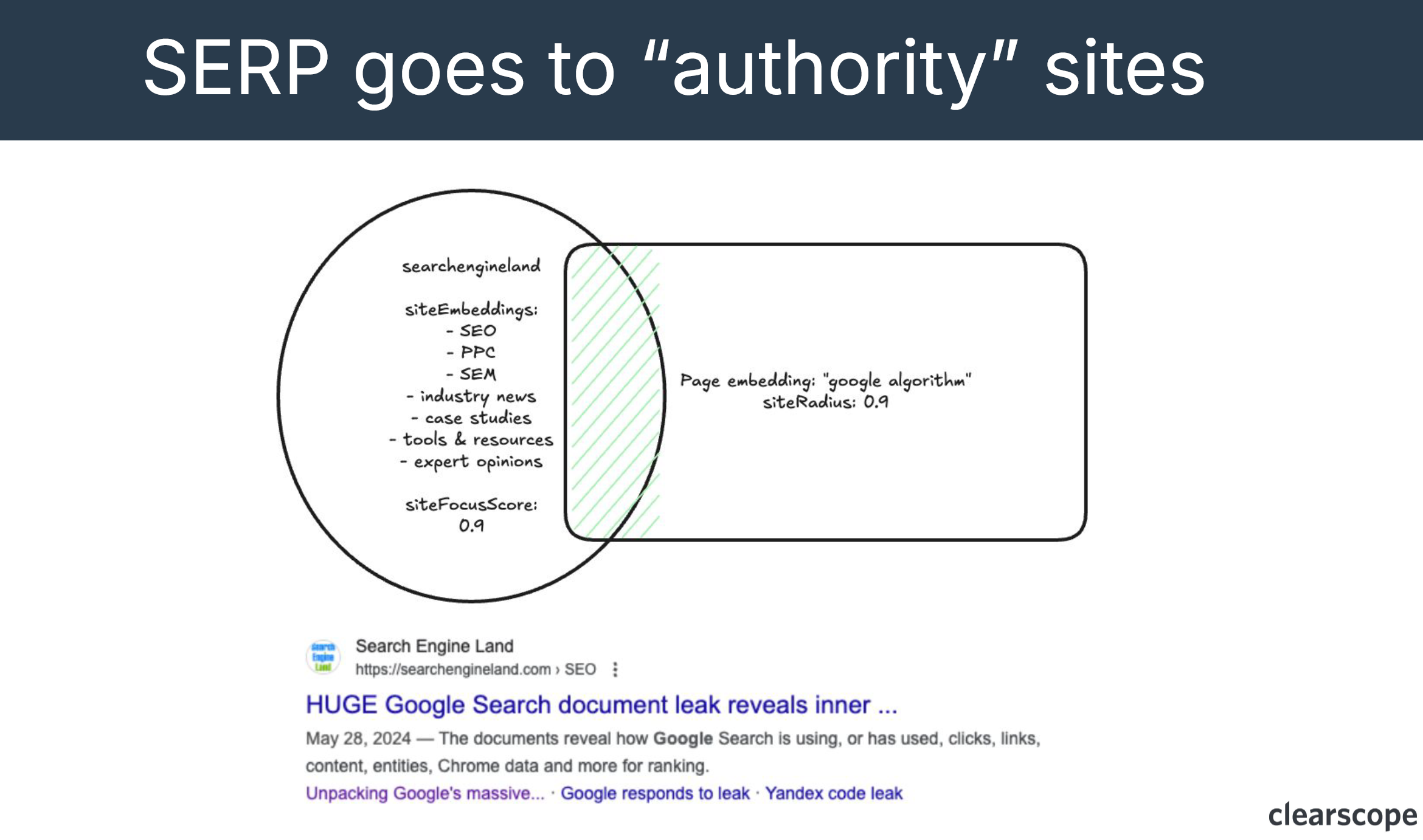 SERP goes to authority sites - Google API leak example.